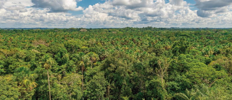 COP30: Oportunidades e saídas sem o USA a partir da Agroecologia, Economia Solidária e Regeneração Climática